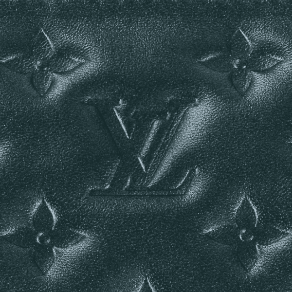 Louis Vuitton Coussin PM