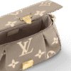 Louis Vuitton Favorite