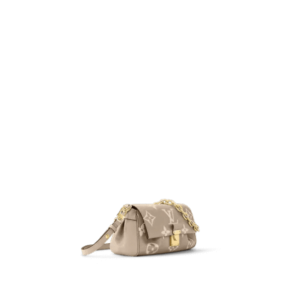 Louis Vuitton Favorite