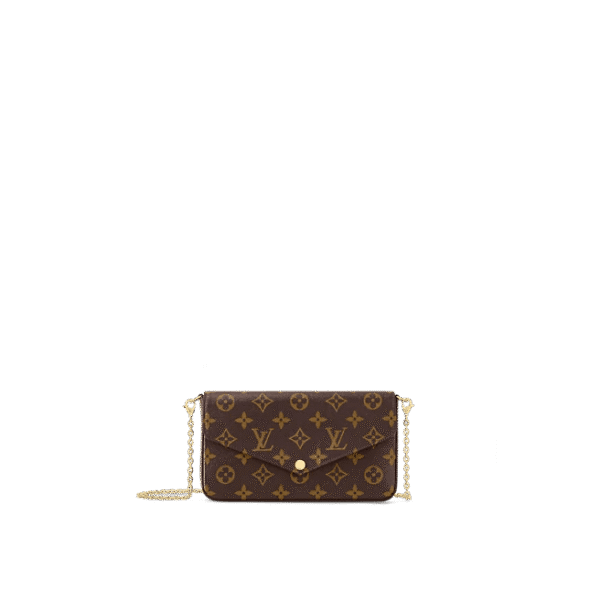 Louis Vuitton Félicie Pochette