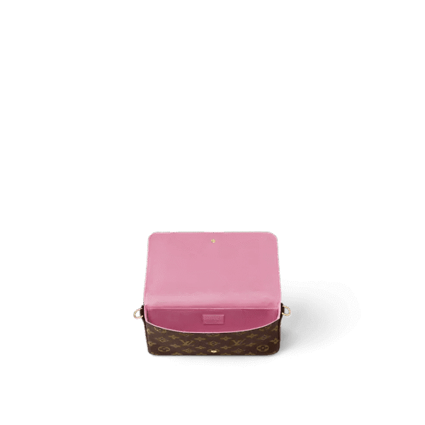 Louis Vuitton Félicie Pochette