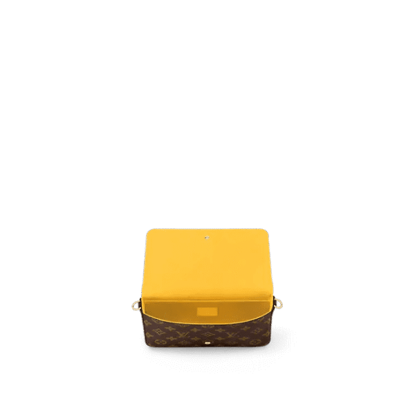 Louis Vuitton Félicie Pochette