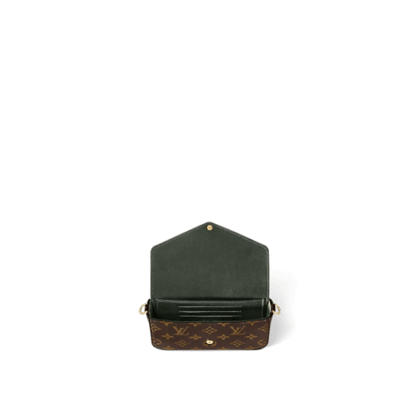 Louis Vuitton Félicie Strap & Go