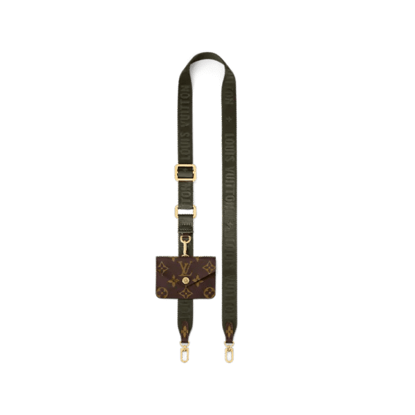 Louis Vuitton Félicie Strap & Go