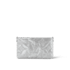 Louis Vuitton Maxi Multi Pochette Accessoires