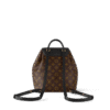 Louis Vuitton Montsouris PM
