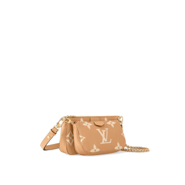 Louis Vuitton Multi Pochette Accessoires
