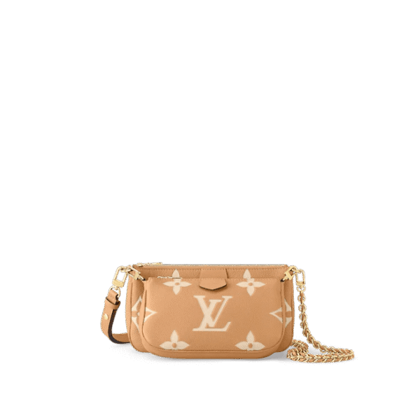 Louis Vuitton Multi Pochette Accessoires