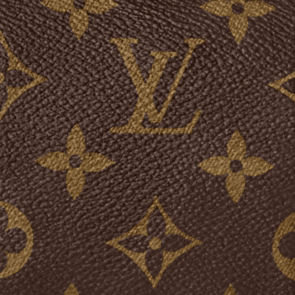 Louis Vuitton Nano Speedy