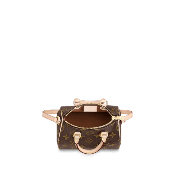 Louis Vuitton Nano Speedy