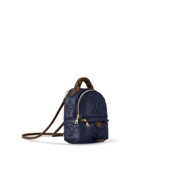 Louis Vuitton Palm Springs Mini