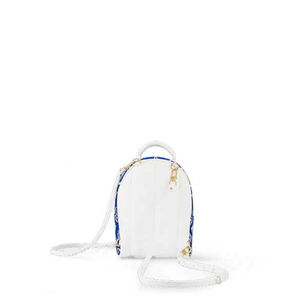 Louis Vuitton Palm Springs Mini