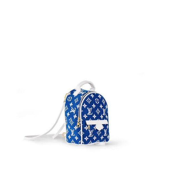 Louis Vuitton Palm Springs Mini