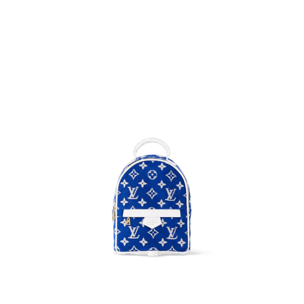 Louis Vuitton Palm Springs Mini