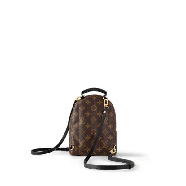 Louis Vuitton Palm Springs Mini