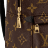 Louis Vuitton Palm Springs Mini