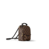 Louis Vuitton Palm Springs Mini