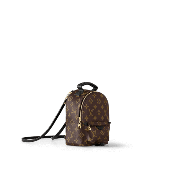 Louis Vuitton Palm Springs Mini