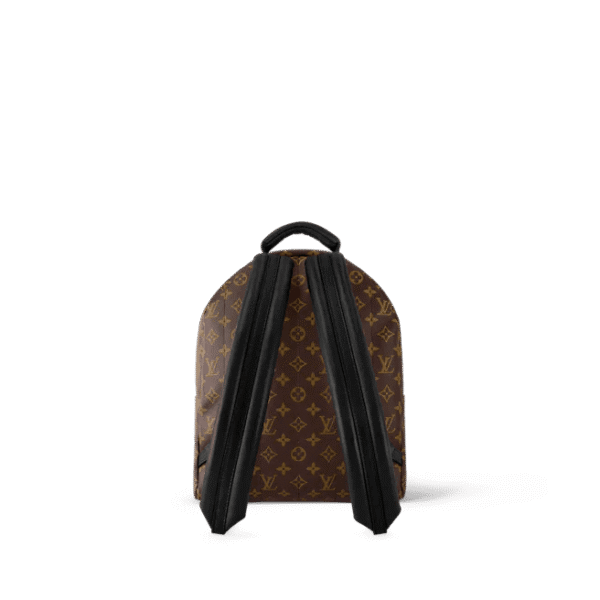 Louis Vuitton Palm Springs MM