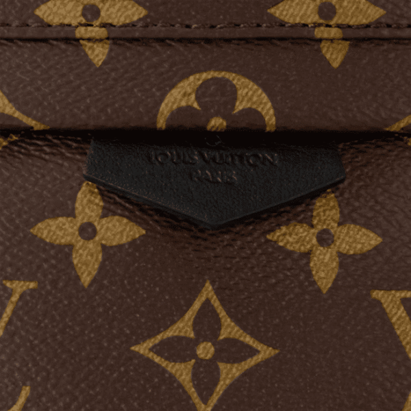 Louis Vuitton Palm Springs PM