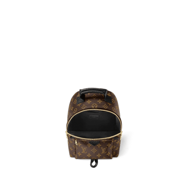 Louis Vuitton Palm Springs PM