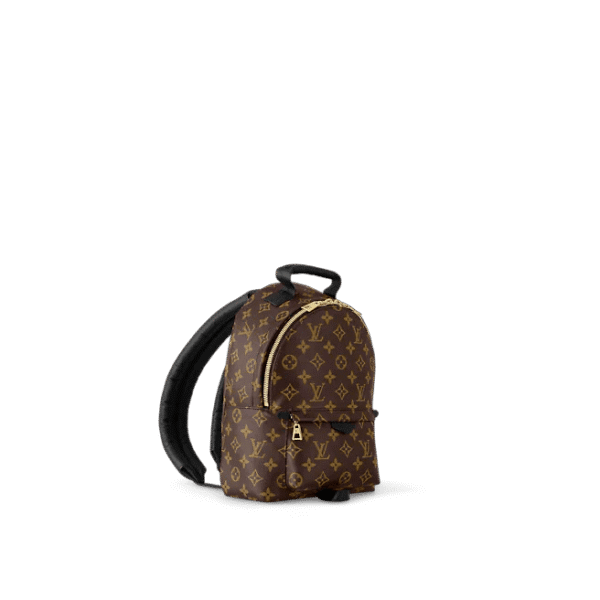 Louis Vuitton Palm Springs PM