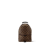 Louis Vuitton Palm Springs PM