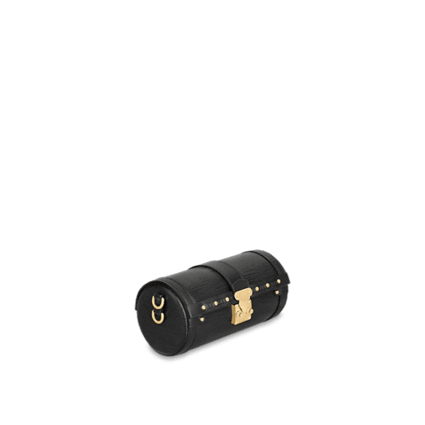 Louis Vuitton Papillon Trunk