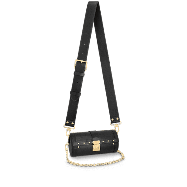 Louis Vuitton Papillon Trunk