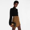 Louis Vuitton Petite Malle