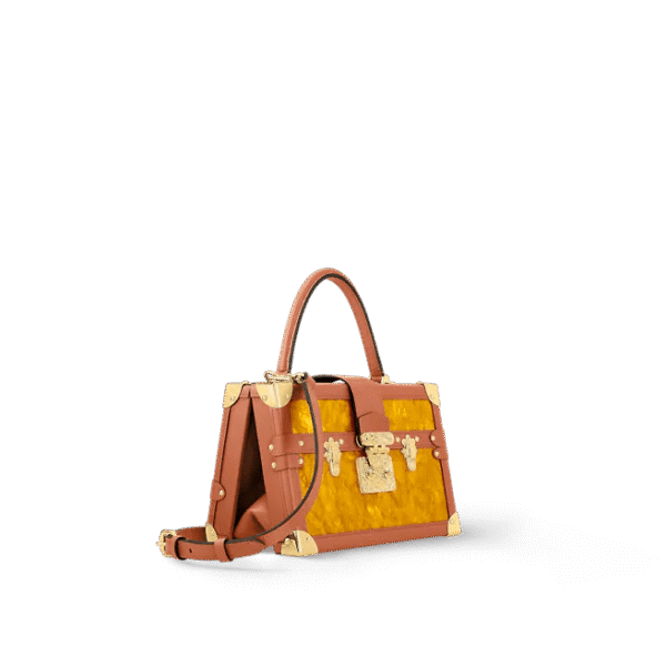 Louis Vuitton Petite Malle V
