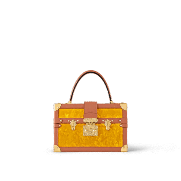 Louis Vuitton Petite Malle V