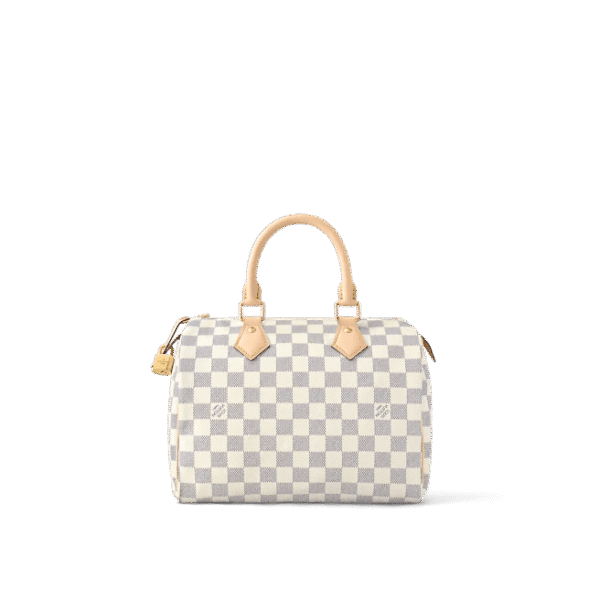 Louis Vuitton Speedy 25