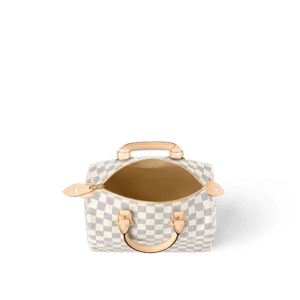 Louis Vuitton Speedy 25