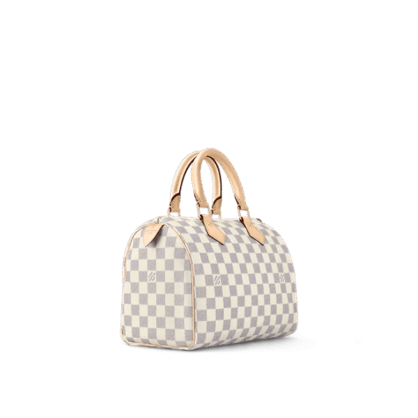 Louis Vuitton Speedy 25