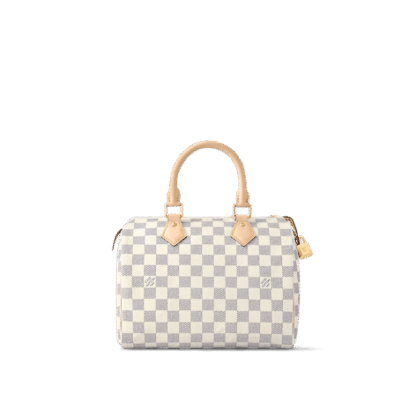 Louis Vuitton Speedy 25