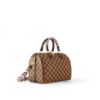 Louis Vuitton Speedy 25