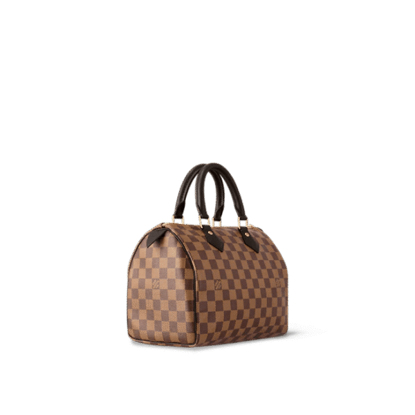 Louis Vuitton Speedy 25