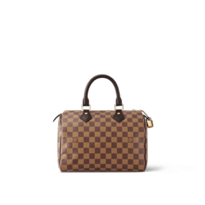 louis-vuitton-speedy-25-damier-ebene-canvas-handbags-N41365_PM2_Frontview.png Louis Vuitton Speedy 25