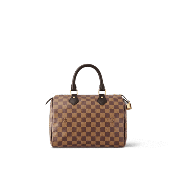 Louis Vuitton Speedy 25