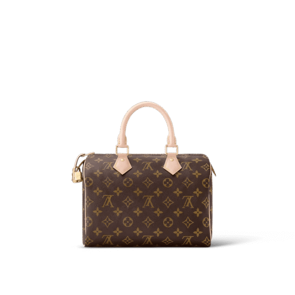 Louis Vuitton  Speedy 25