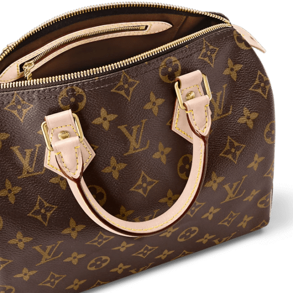 Louis Vuitton  Speedy 25