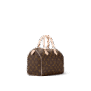 Louis Vuitton  Speedy 25