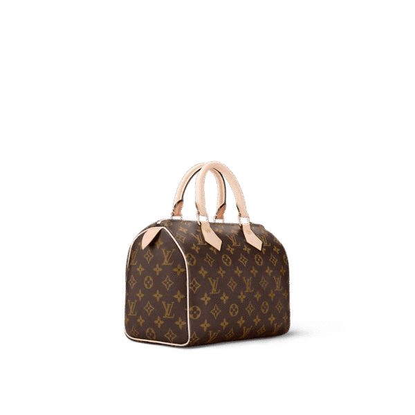 Louis Vuitton  Speedy 25