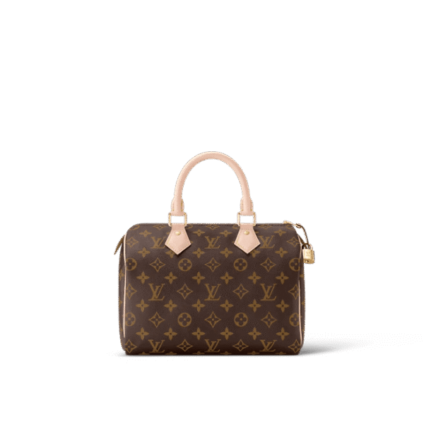 Louis Vuitton  Speedy 25
