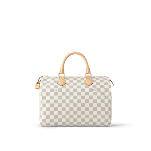 Louis Vuitton  Speedy 30