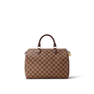 louis-vuitton-speedy-30-damier-ebene-canvas-handbags-N41364_PM2_Frontview.png Louis Vuitton Speedy 30