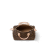 Louis Vuitton  Speedy 30
