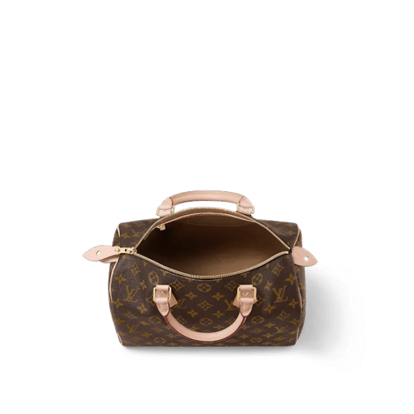 Louis Vuitton  Speedy 30