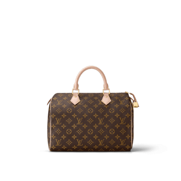Louis Vuitton  Speedy 30